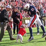 Top 30 at Jordan-Hare - #20 Georgia (1996)