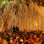 What Should Auburn Do with the Toomer's Trees?