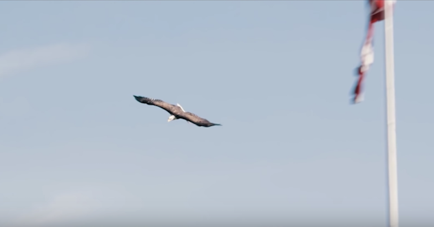 Auburn Tigers 2018 - An Eagle's Call